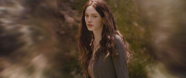 File:BreakingDawnPt1-3824.jpg