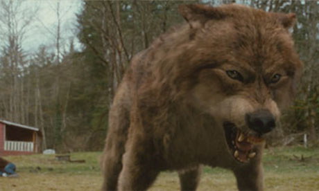 File:Jacob Wolf Form 1.jpg