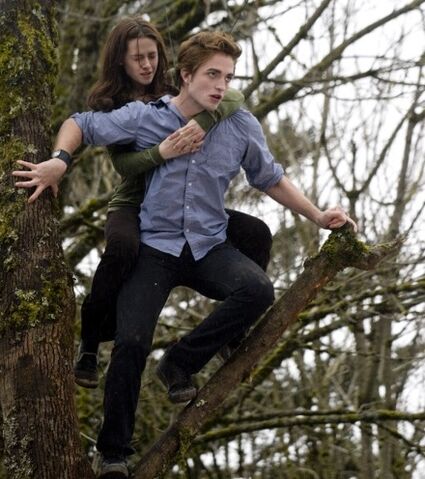 File:Twilight-backlot-21.jpg