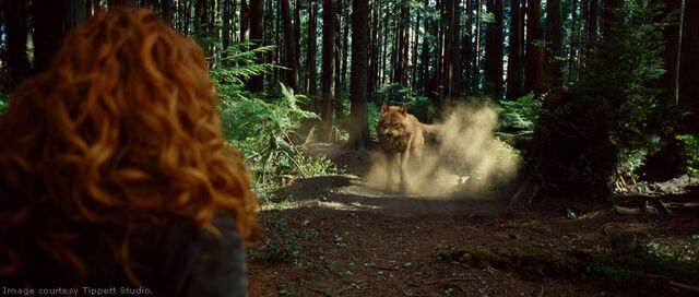 File:Twilight-newmoon-victoria vs wolf.jpg