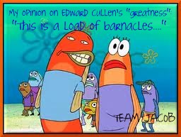 File:LoadOfBarnacles.jpg