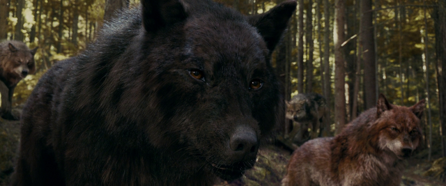 File:Eclipse 2 wolves.png