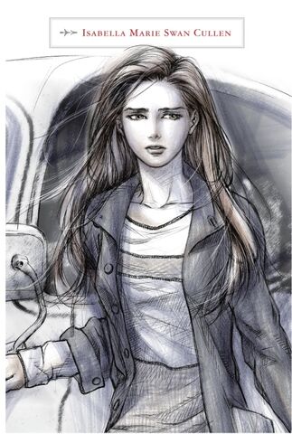 File:The-twilight-saga-the-official-illustrated-guide-bella.jpg