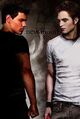 Thumbnail for version as of 00:38, February 16, 2011