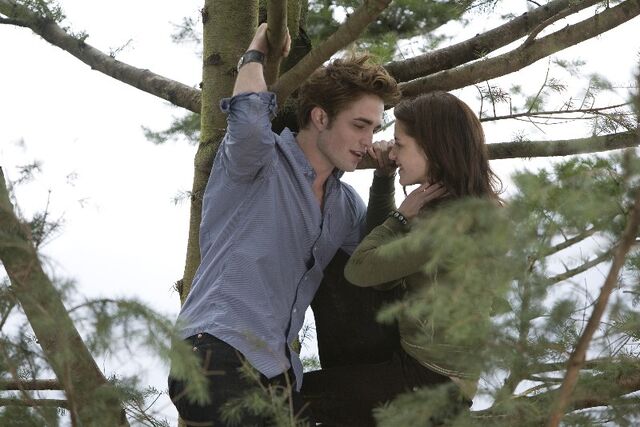 File:Twilight33.jpg