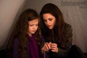 180px-Renesmee's locket.jpg