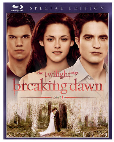 File:DVD0kBOJr8AyGM 1 l.jpg