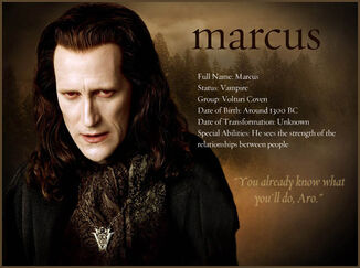 Marcus-bio-900