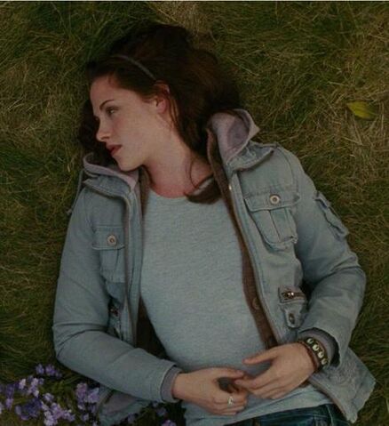 File:Bb-dakota-leigh-cargo-zip-hoodie-in-lake-blue-and-bella-swan.jpg