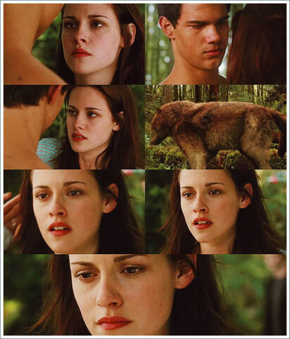 File:Tumblr lfv0rpe2oQ1qdo6vio1 500.jpg