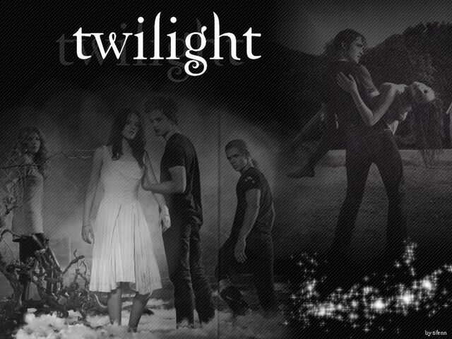 File:Wallpaper-Twilight-twilight-series-1820864-800-600.jpg