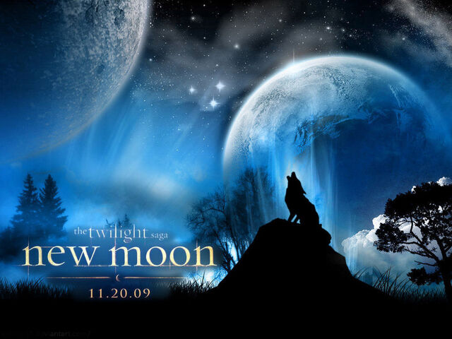 File:The-Twilight-saga-New-Moon-twilight-series-4882955-800-600.jpg