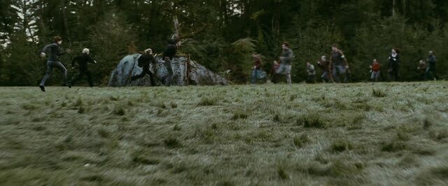 File:Newborn-battle.jpg