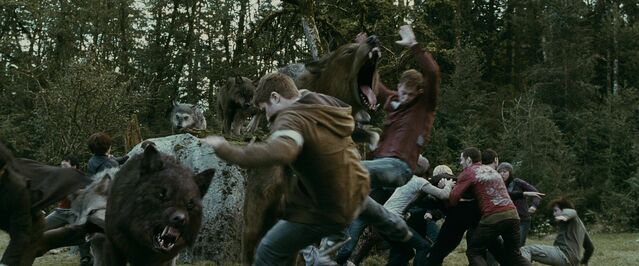 File:BattleScene.jpg