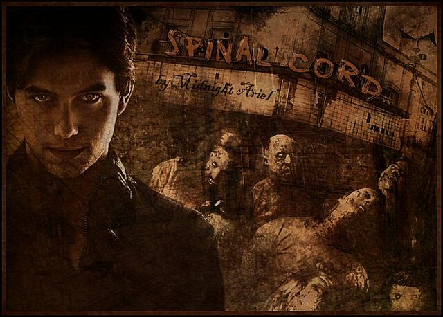 File:SpinalCordBanner2.jpg