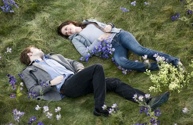 File:Twilight16.jpg