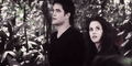 Thumbnail for version as of 03:37, December 18, 2012
