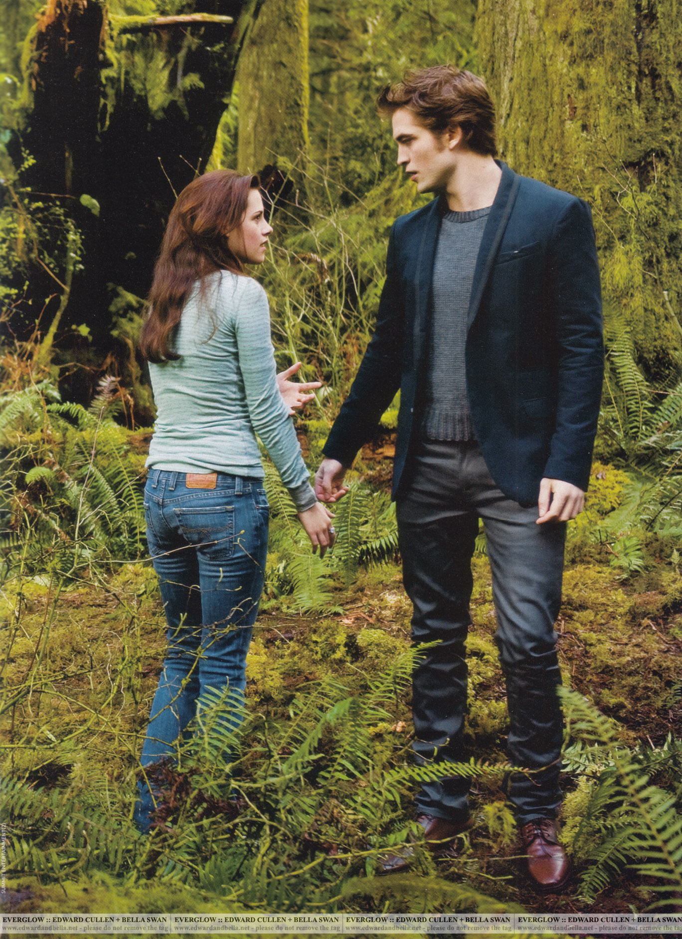 GalleryBella Swan And Edward Cullen Twilight Saga Wiki FANDOM