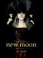 Thumbnail for version as of 21:55, July 19, 2010