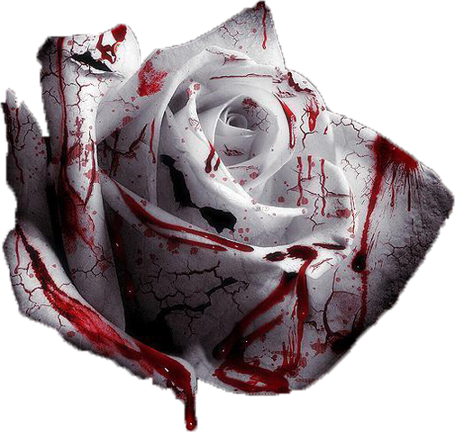 File:Bloodyrose.png