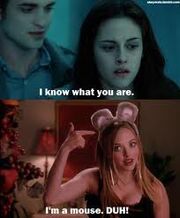 TwilightMeanGirls13