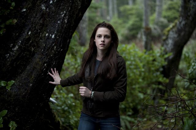 File:Thetwilightsaganewmoon3r.jpg