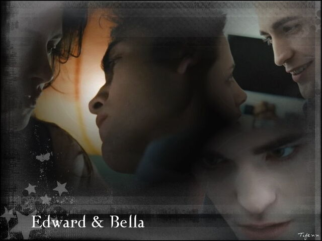 File:Wallpaper-Twilight-twilight-series-1821051-800-600.jpg
