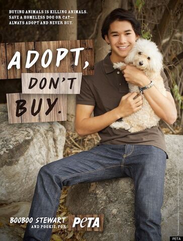 File:BOOBOO-STEWART-PETA-AD.jpg
