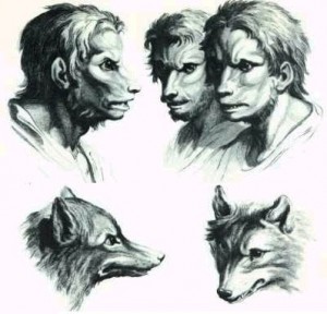 File:Skinwalker-300x288.jpg