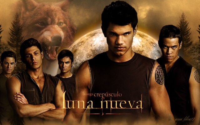Fichier:Wallpaper-x-the-quileute-wolf-pack-10013447-1920-1200.jpg