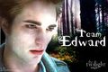 Thumbnail for version as of 12:36, January 6, 2011