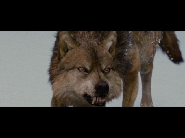 File:Seth during the confrontation.jpg