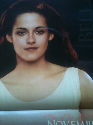 File:11-november-bella.jpeg