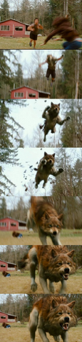 File:Jacob Black transformation.png