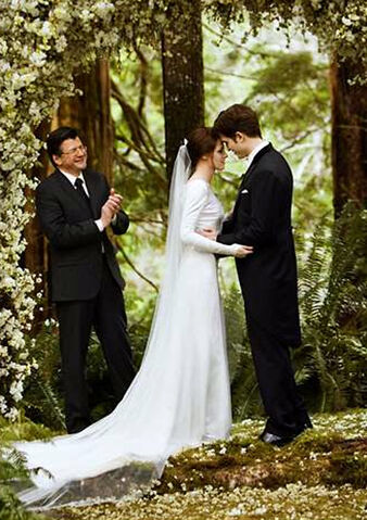 File:BDwedding.jpg