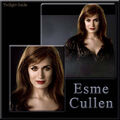 Thumbnail for version as of 23:00, April 9, 2011