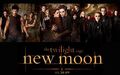 Thumbnail for version as of 19:03, February 17, 2011
