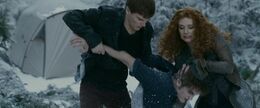 Riley & Victoria vs Edward.jpg
