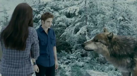 Seth with edward and bella.png