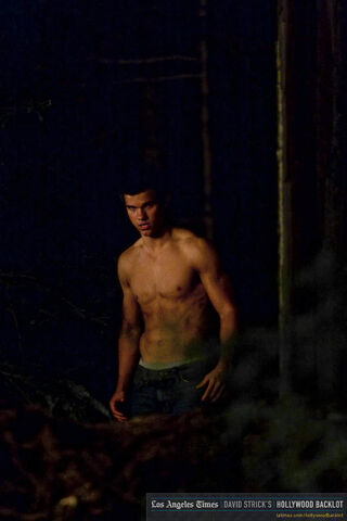 File:Taylor-Jacob-jacob-black-8293677-683-1024.jpg