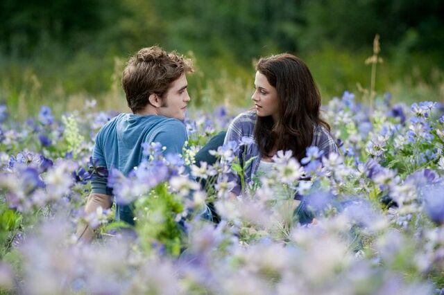 File:Edward $ bella .jpg