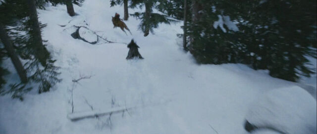 File:Bd2-jacob-renesmee-santiago.jpg