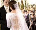 Thumbnail for version as of 10:39, March 16, 2013