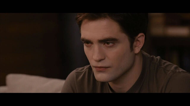 File:Pll1761.jpg