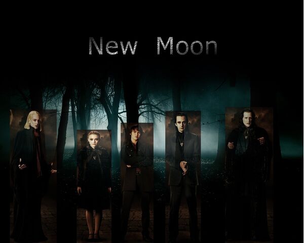 File:New moon 008.jpg