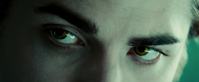 File:Vlcsnap-2013-01-31-17h34m52s9.png