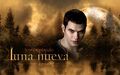 Thumbnail for version as of 00:32, February 2, 2011