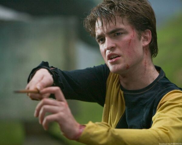 File:Cedric-cedric-diggory-6516501-1280-1024.jpg
