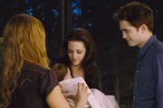 Renesmee Baby.jpg