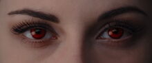Breaking-dawn1-movie-screencaps.com-12558.jpg